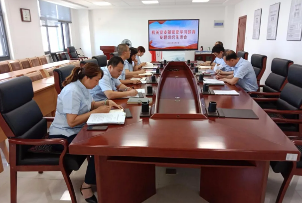 泓源公司机关党支部召开党史学习教育专题组织生活会(图1) 泓源公司机关党支部召开党史学习教育专题组织生活会(图1)