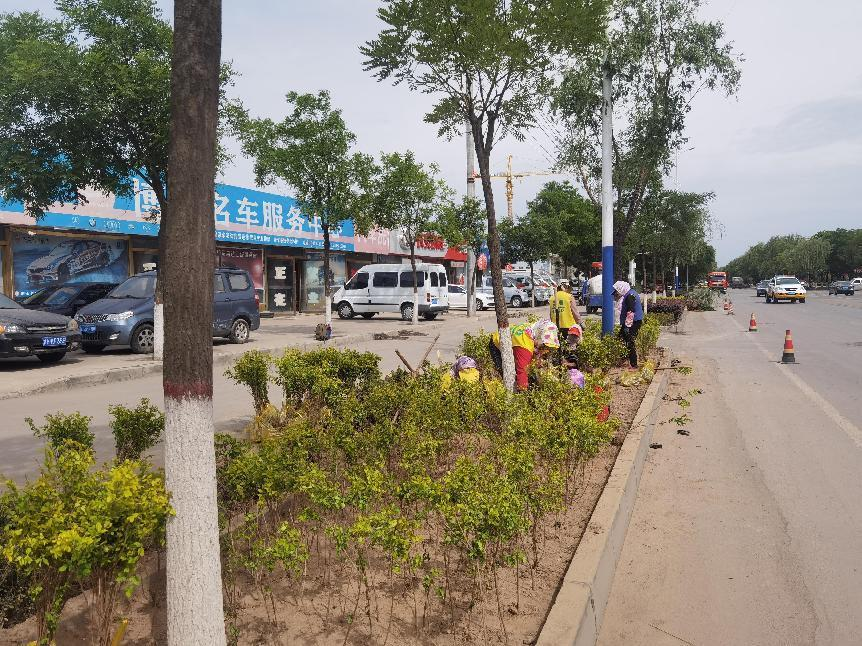 立足精细化管护 助推绿化水平提升(图1) 立足精细化管护 助推绿化水平提升(图1)